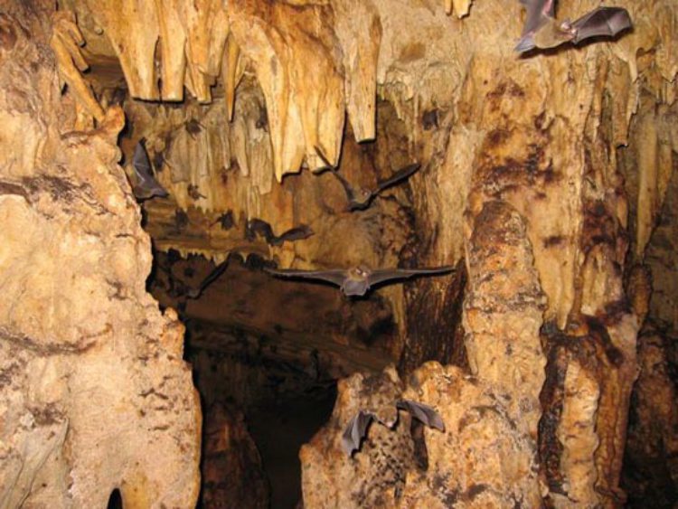 Attractions of Costa Rica - Wenado Caves