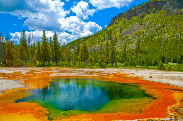 What to see in the United States - Yellowstone National Park