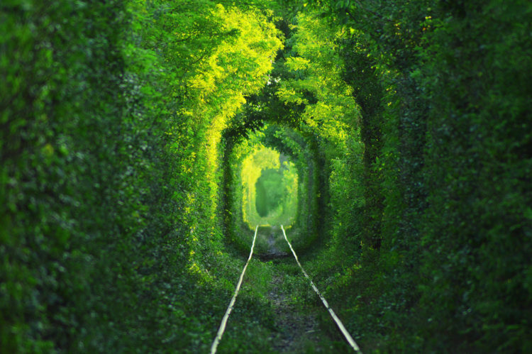Sights of Ukraine - Tunnel of Love