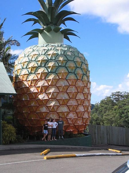 Attractions Australia - The Big Pineapple in Queensland
