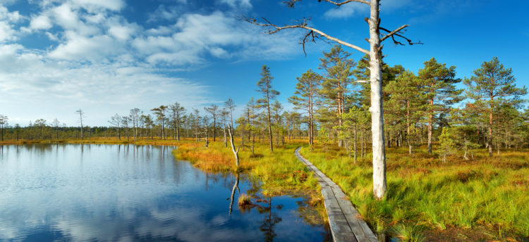 Sightseeing in Estonia - Lahemaa National Park