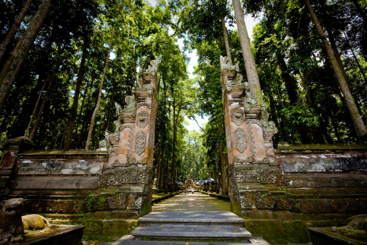 Attractions in Indonesia - Monkey Forest in Ubud