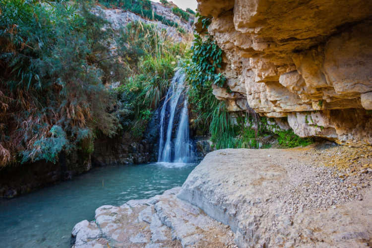 What to see in Israel - Ein Gedi Oasis