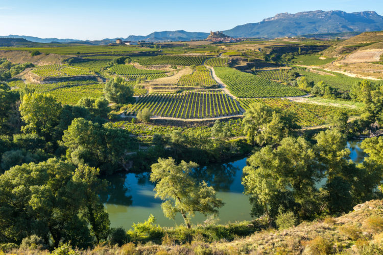 Sightseeing in Spain - La Rioja - country of vineyards