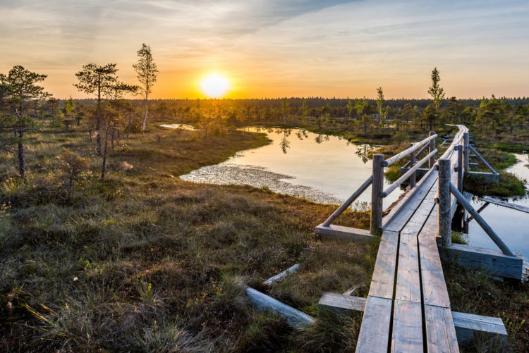 Ķemeri National Park - attractions in Latvia