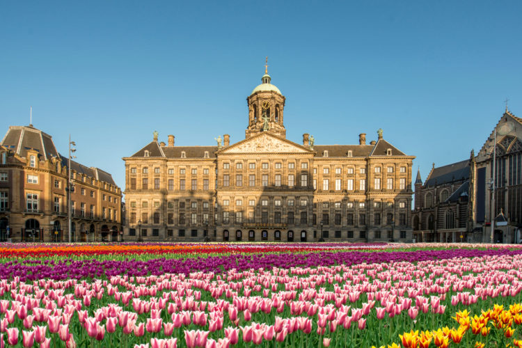 Royal Palace - sights in the Netherlands