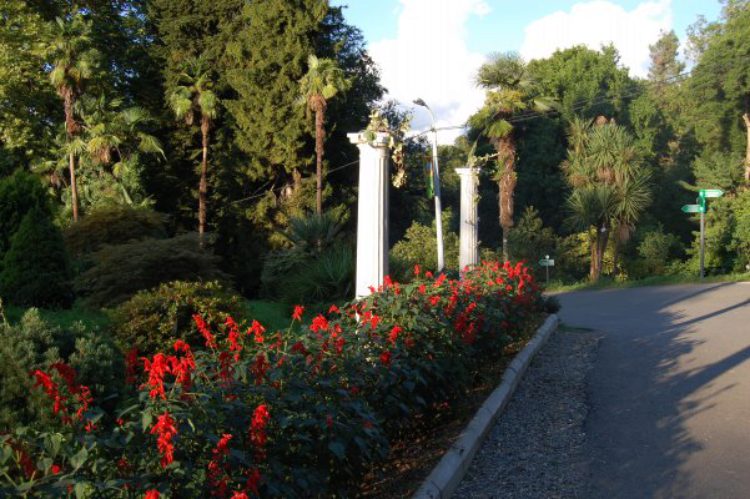 Botanical Garden in Batumi