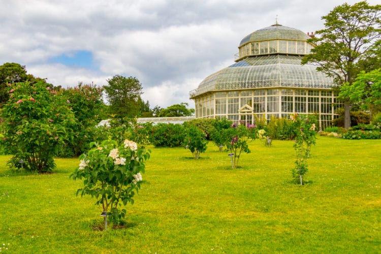 National Botanic Garden - Dublin attractions