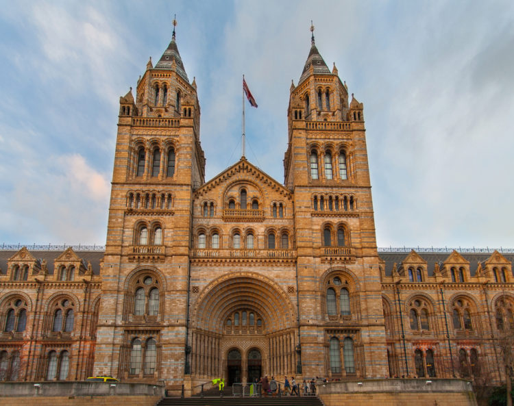 Natural History Museum in London - London attractions