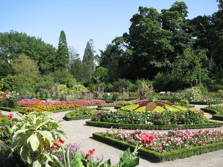 Botanical Gardens in the Parc de la Tete d'Or in Lyon - attractions in Lyon, France