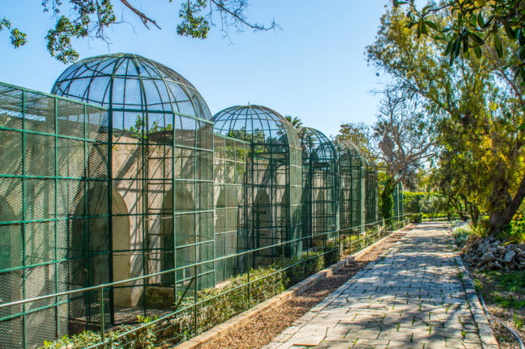 St. Anthony's Botanical Garden - attractions in Malta