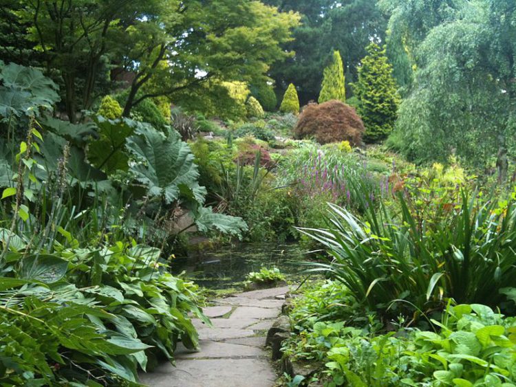 Fletcher Moss Botanical Gardens -What to see in Manchester