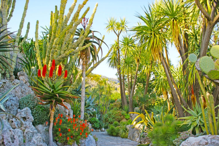 Monaco Botanical Garden - Monaco attractions
