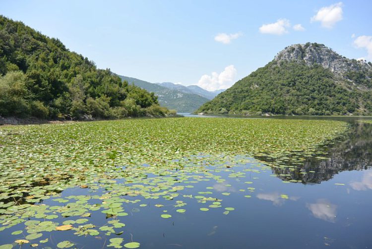 Lake Skadar - Montenegro's landmarks