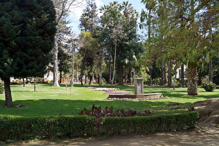 Viña del Mar Botanical Garden - Chile's landmarks