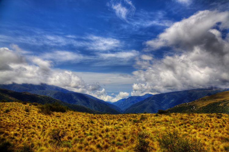Manu National Park - Sights of Peru