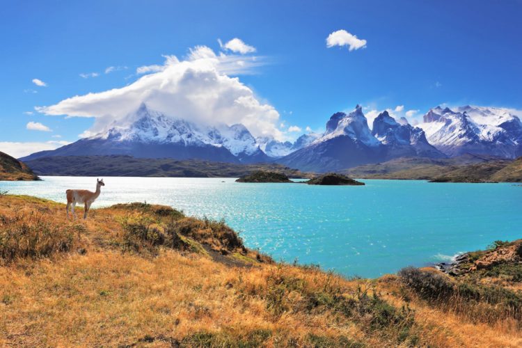 Torres del Paine National Park - attractions in Chile