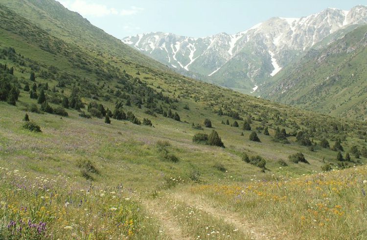 Aksu-Zhabagly Reserve - Sehenswürdigkeiten von Kasachstan