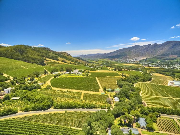 Franschhoek Wine Farms - Sightseeing in South Africa