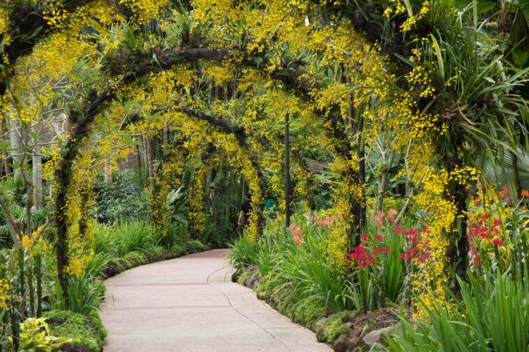 Singapore Botanic Gardens - Singapore attractions