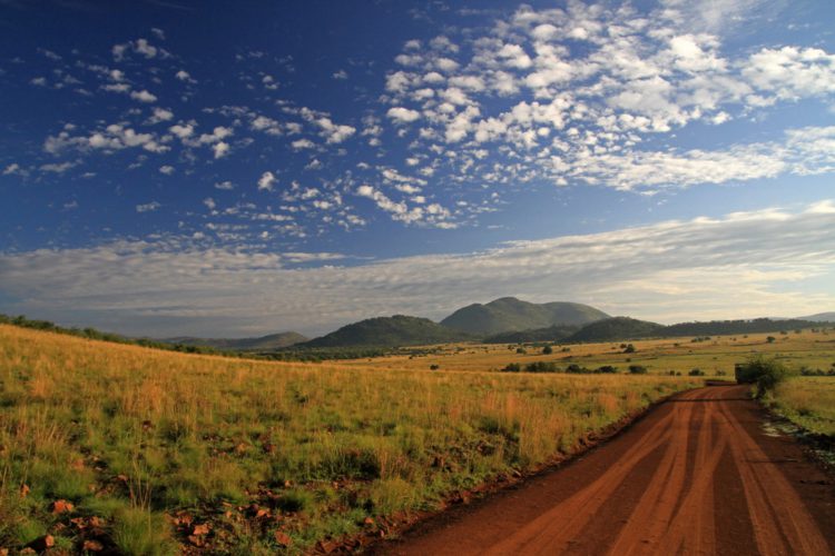 Pilanesberg National Park - Sightseeing in South Africa