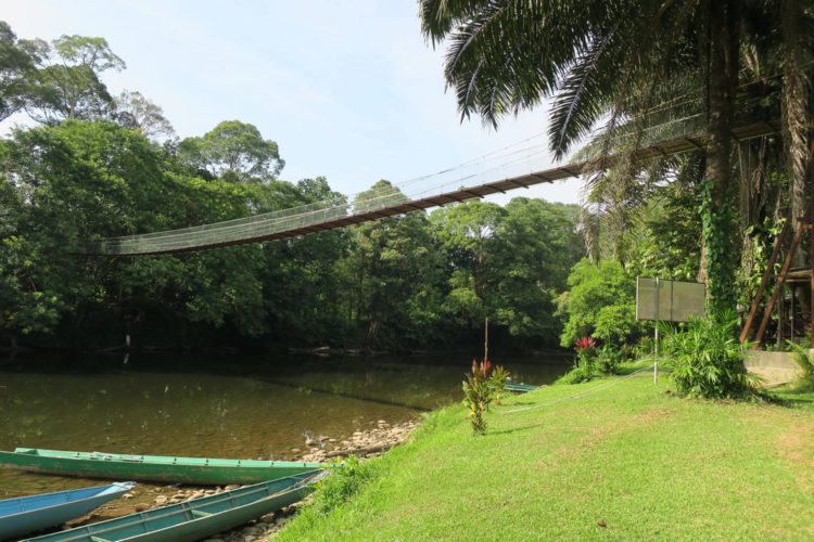 Ulu Temburong National Park – Was gibt es in Brunei zu sehen