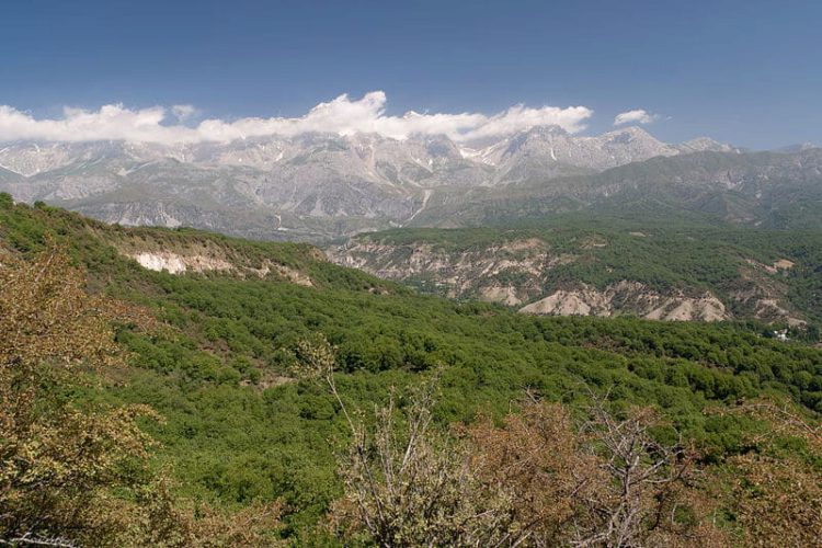 Der Große Walnusswald in Arslanbob - Kirgisische Sehenswürdigkeiten