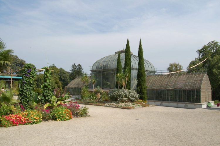 The Geneva Botanical Gardens - Sightseeing in Geneva