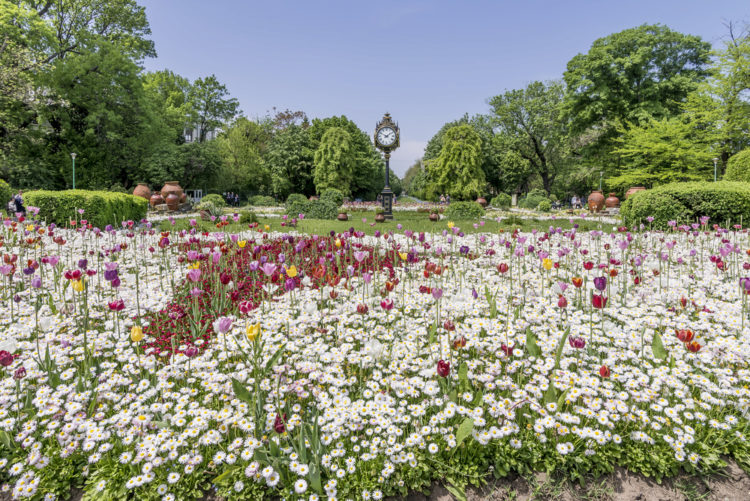 Cismigiu Gardens - Bucharest attractions