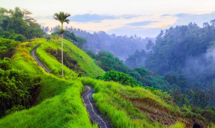 Artists Trail - What to see in Bali