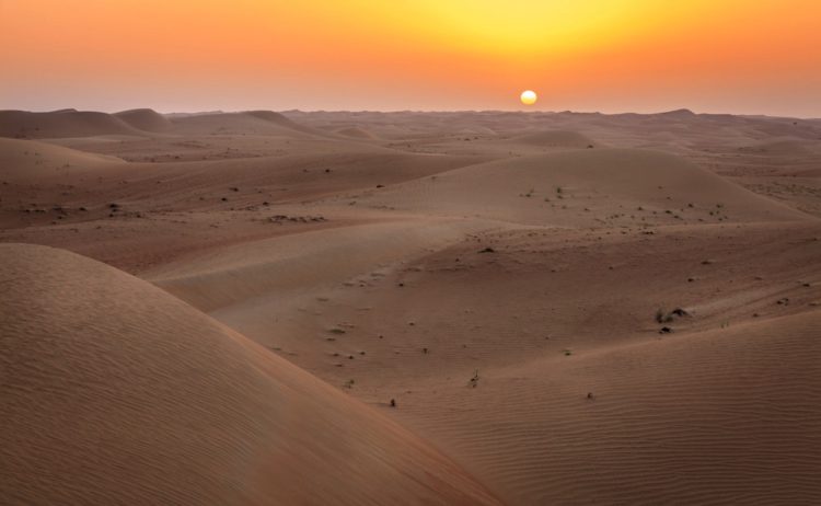 Dubai Desert Reserve - What to see in Dubai