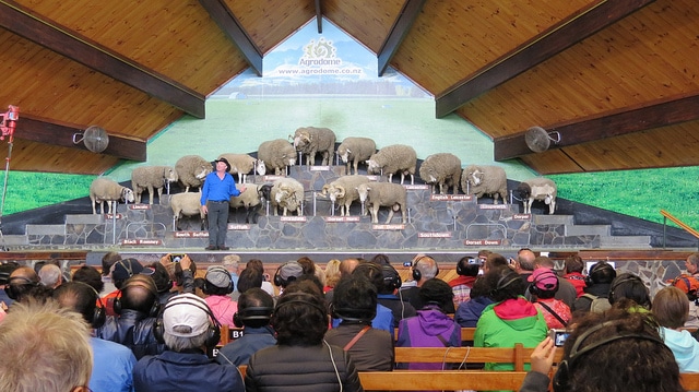 Agrodome - New Zealand attractions