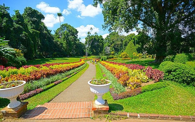 Royal Botanical Gardens in Paradeniya - Sri Lanka attractions