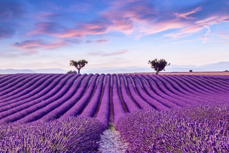 Most beautiful places on the planet - Provence, France