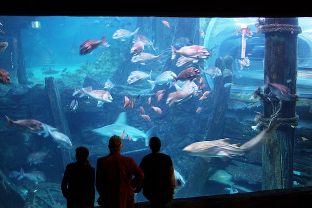 Melbourne Aquarium - Melbourne attractions
