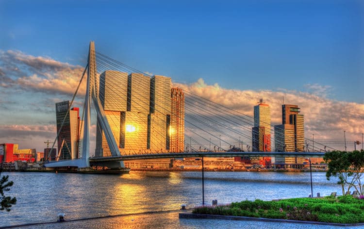 Erasmus Bridge - Sights of Rotterdam