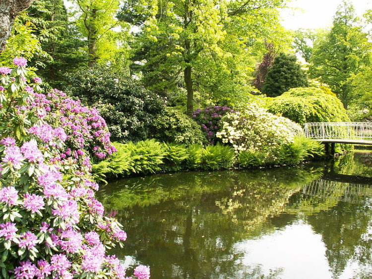 Botanic Garden Arboretum Trompenburg - attractions Rotterdam
