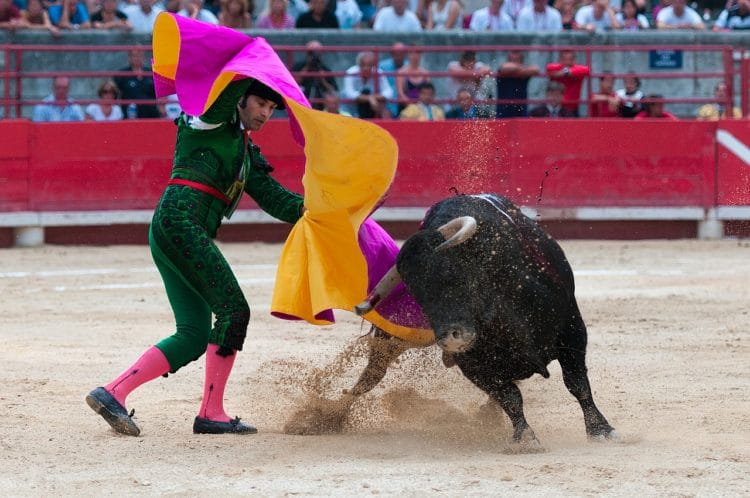 Maestranza bullfighting arena - Seville attractions