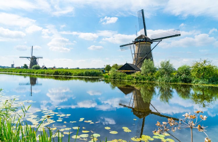 Kinderdijk - What to see in Rotterdam