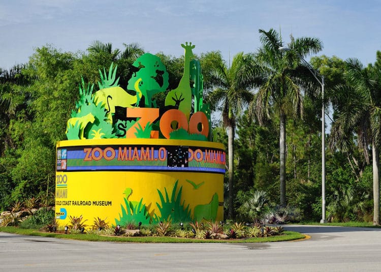 Miami Zoo - Miami attractions