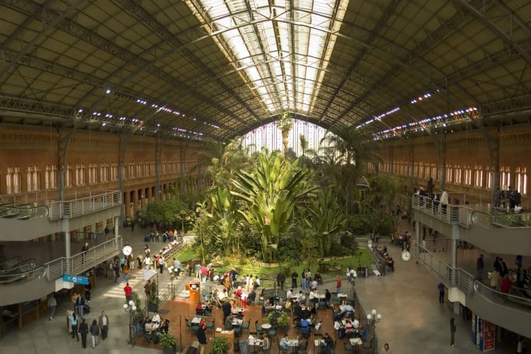 Atocha train station - attractions in Madrid