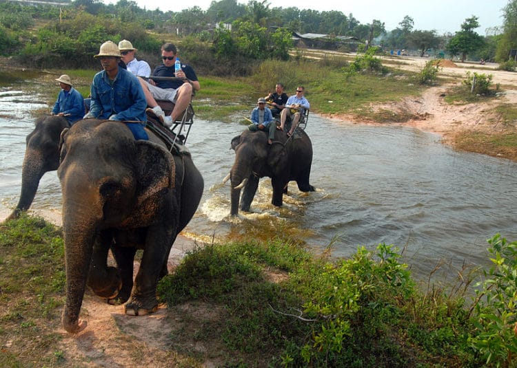 Elephant Village - Pattaya attractions