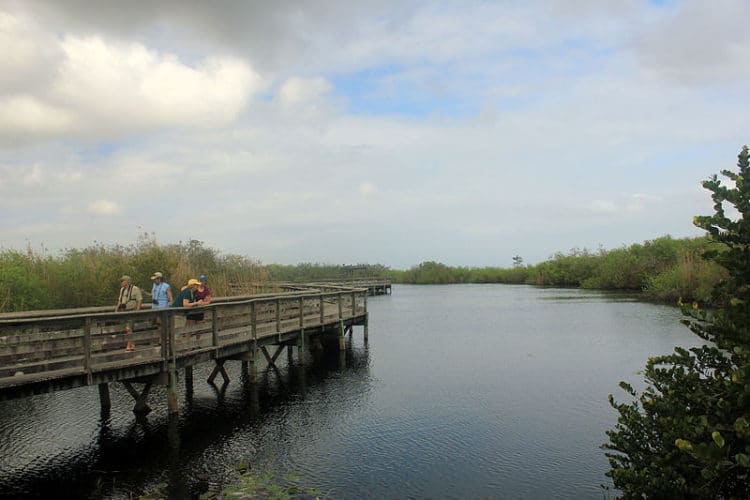 Everglades National Park - What to see in Miami