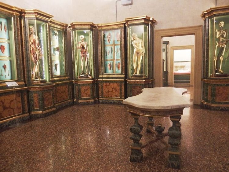 Palazzo Poggi Museum - Sightseeing in Bologna
