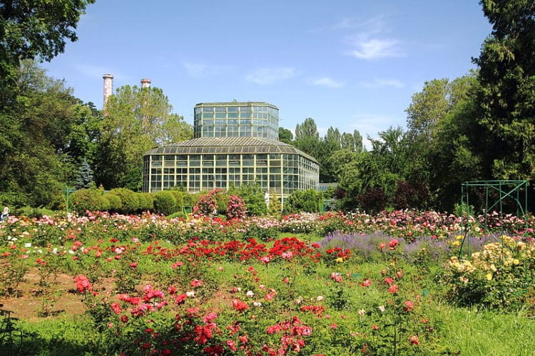 Bucharest Botanical Garden - Bucharest attractions