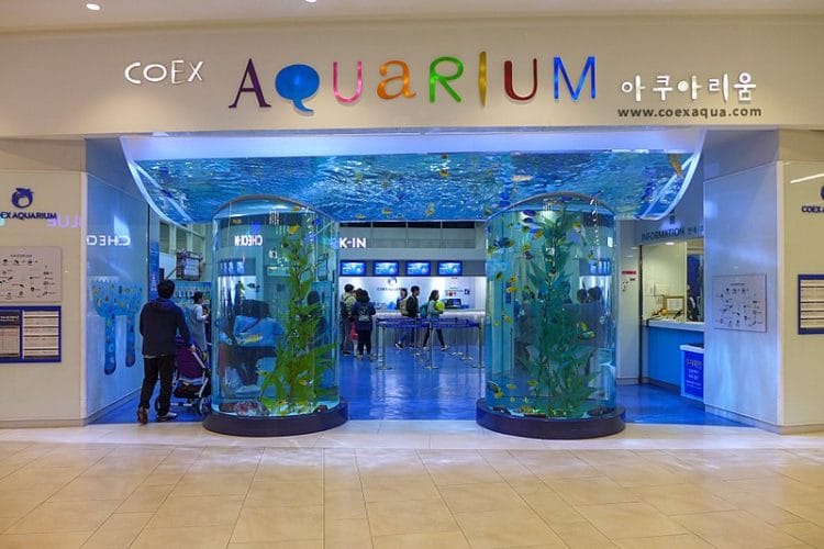 COEX Aquarium - What to see in Seoul