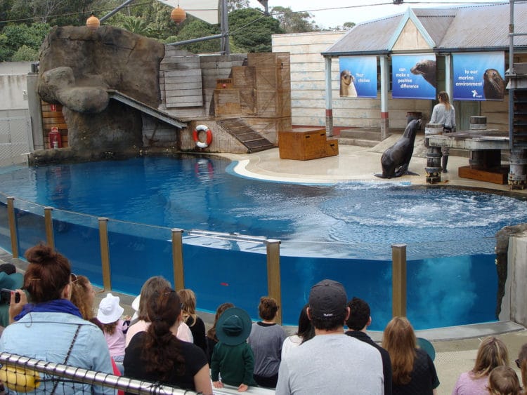 Taronga Zoo - Sydney attractions