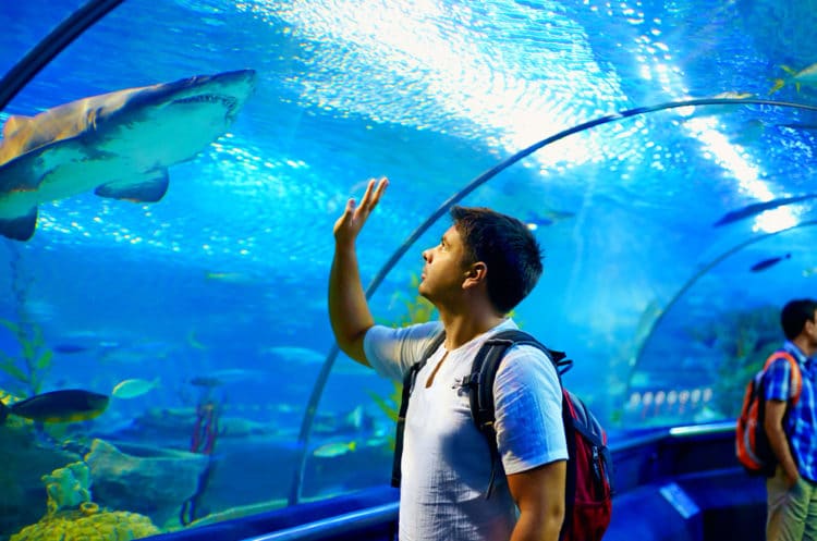 Underwater World Pattaya Oceanarium - Pattaya attractions
