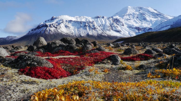 Natural parks of Kamchatka - Kamchatka attractions