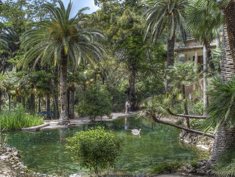 Alfabia Gardens - Mallorca attractions